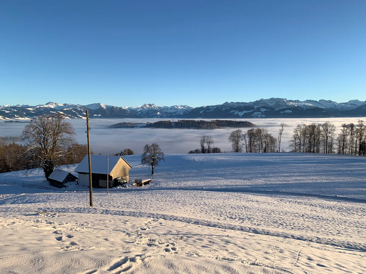 Eine Insel im Nebelmeer Ende 2024: Blick über verschneite Wiesen vom Orn zum Batzberg, wo ein Windmessmast steht.